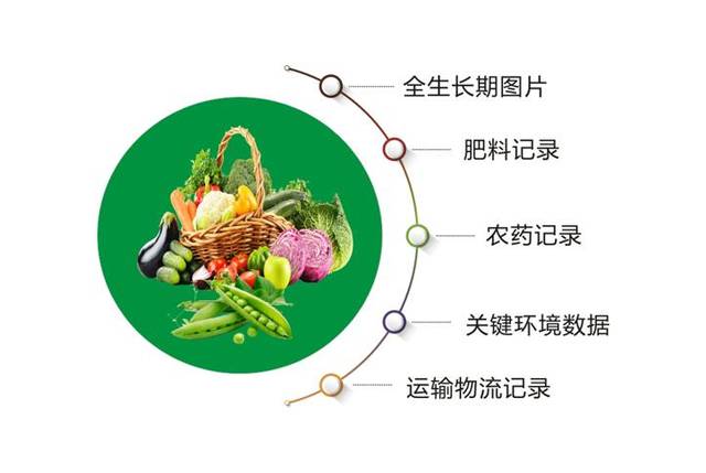 蔬菜产品种植追溯系统方案