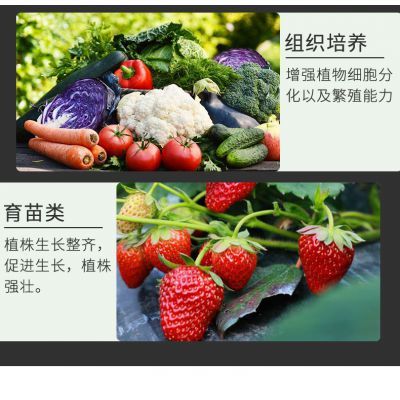 鲁成光电多肉种植补光灯上色全光谱LED蔬菜花卉育苗食虫草仿太阳室内果蔬植物生长灯