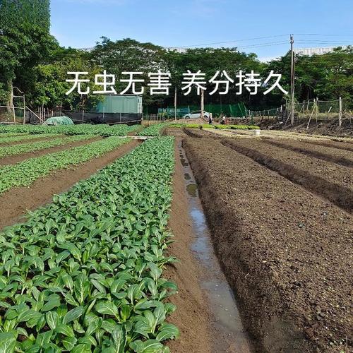阳台种菜土田园土斤通用型土壤种植土泥土蔬菜营养土直销