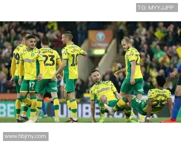 布里斯托城与诺维奇历史交锋比分回顾及分析 布里斯托城与诺维奇历史交锋比分回顾及分析